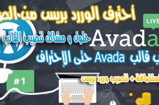 تحميل و تنصيب قالب Avada مجاناً